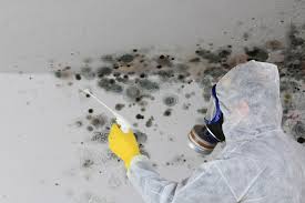 Mold Removal for HVAC Installations in Coralville, IA